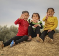 Humanitarian Programs and Projects