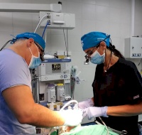 Dental Surgery Team Operates on Children in Bethlehem