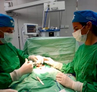 Chilean Surgery Team Returns to Bethlehem