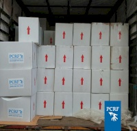 100 Urgent Parcels for Refugees in Al Bus Camp