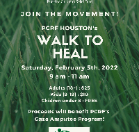 PCRF - Houston Walk to Heal