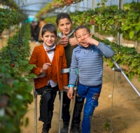Trip To The Strawberry Farm For Amputee Children