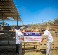 Providing Nourishing Meat for Families in Gaza: Preparations for Eid al-Adha