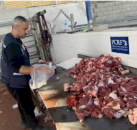 PCRF and UNRWA Collaborate to Provide Food Aid in Rafah