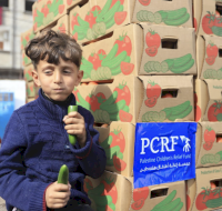 Southern Gaza Food Distribution