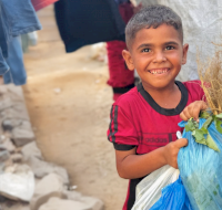 Ongoing Delivery of Urgent Humanitarian Aid Across Gaza