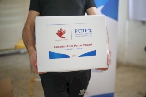 Food Distribution for Families in Gaza