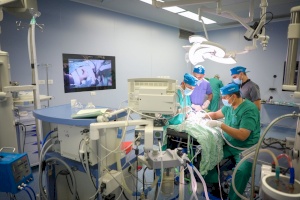 Gaza Dental Medical Mission For Children With Autism