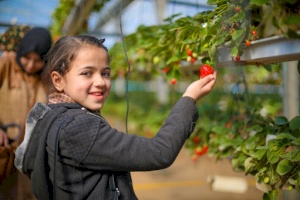 Trip To The Strawberry Farm For Amputee Children