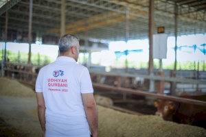 Providing Nourishing Meat for Families in Gaza: Preparations for Eid al-Adha