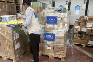 Empowering Gaza's Health: A Collaborative Effort with WHO