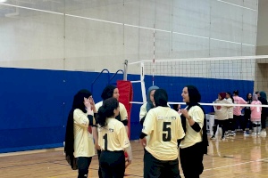 PCRF Chicago Volley for Palestine 2025