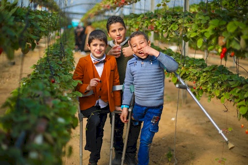 Trip To The Strawberry Farm For Amputee Children