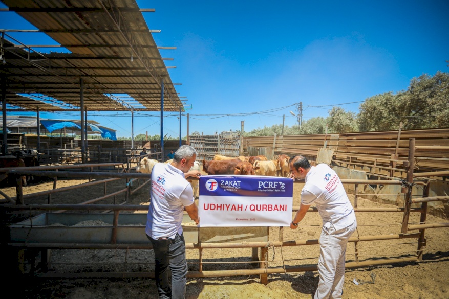 Providing Nourishing Meat for Families in Gaza: Preparations for Eid al-Adha