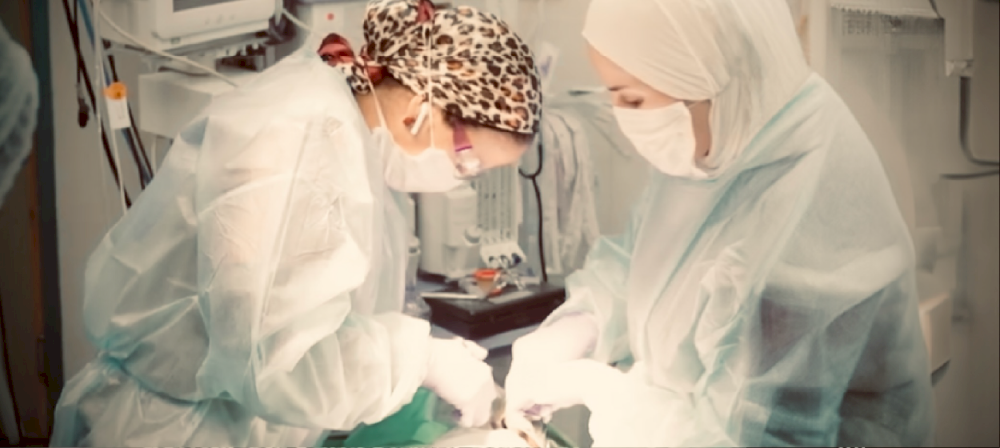 Delivering Dental Care to Children Living with Cancer in Beit Jala