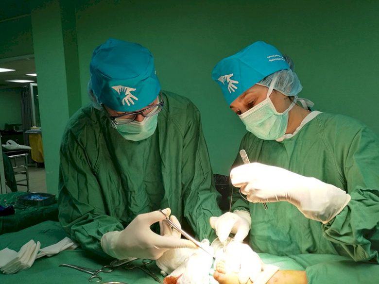 French Orthopedic Team Returns to Lebanon