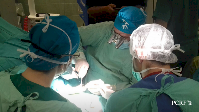 Brazilian Hand Surgery Team Treats Children in Ramallah