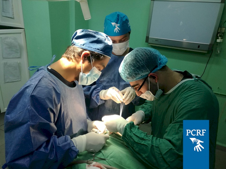 Cleft Lip and Palate Surgery Mission Returns to Lebanon