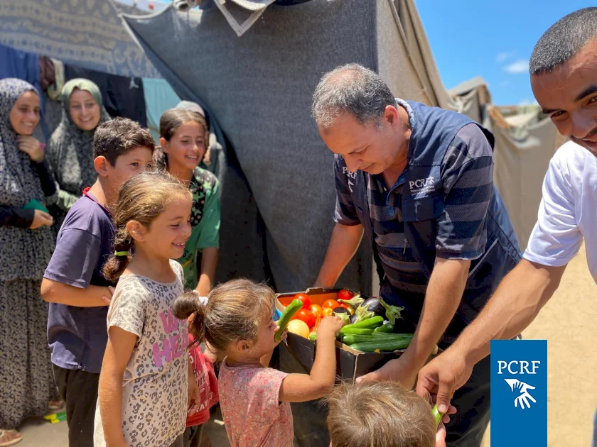 Vegetable Distribution for Displaced Families